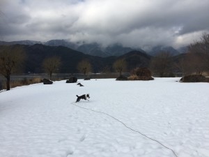 大はしゃぎ　河口湖